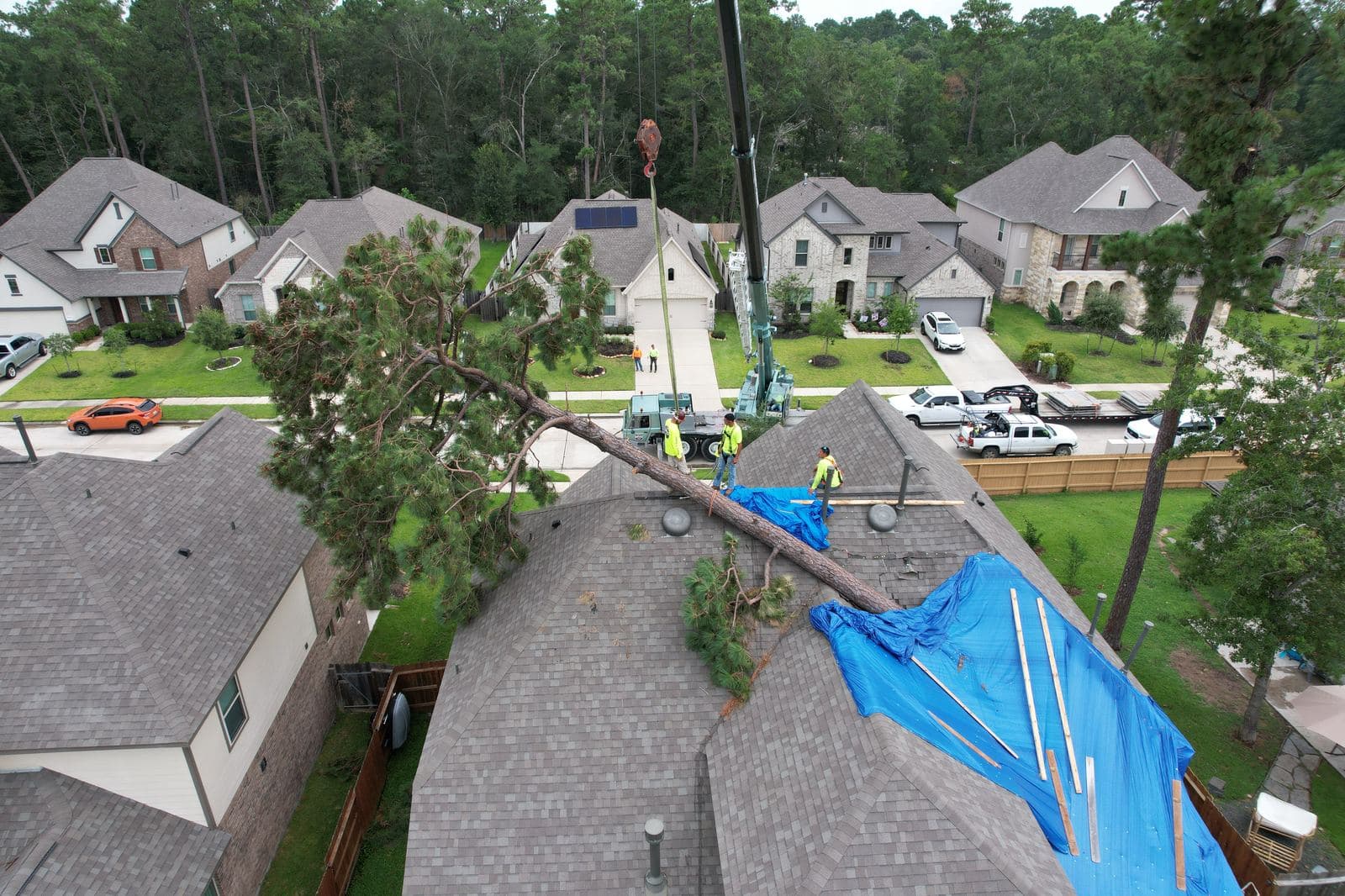 Tree removal and emergency tarp on a Houston home after Hurricane Beryl
